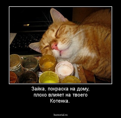 Зайка, покраска на дому, плохо влияет на твоего Котенка.
