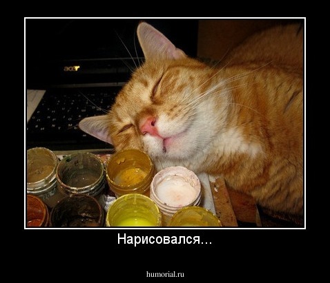 Нарисовался...