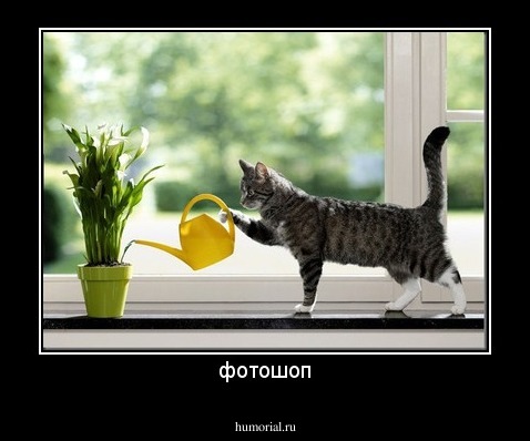 фотошоп