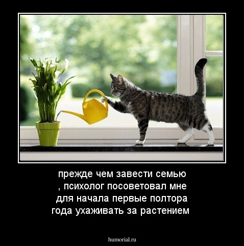 прежде чем завести семью , психолог посоветовал мне для начала первые полтора года ухаживать за растением