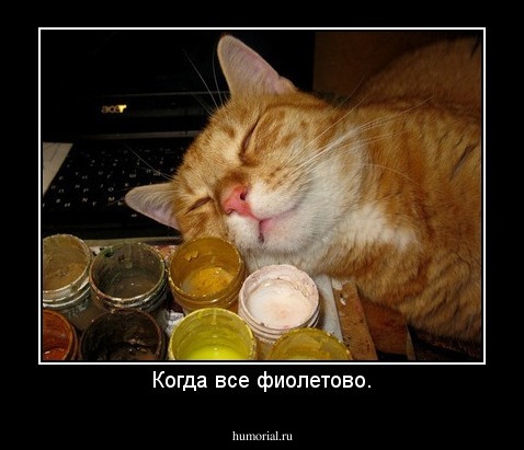 Когда все фиолетово.
