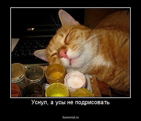 Уснул, а усы не подрисовать