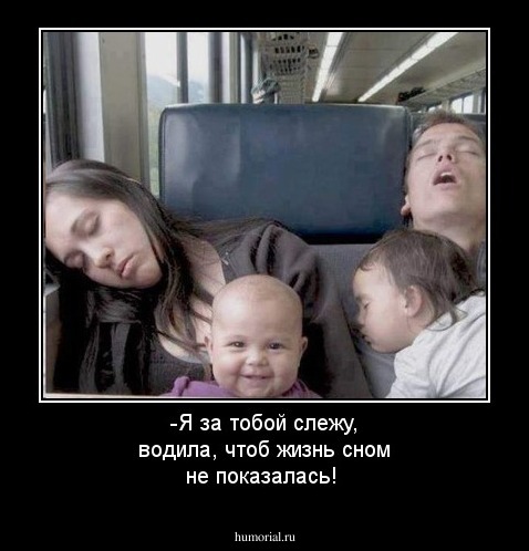 -Я за тобой слежу, водила, чтоб жизнь сном не показалась!