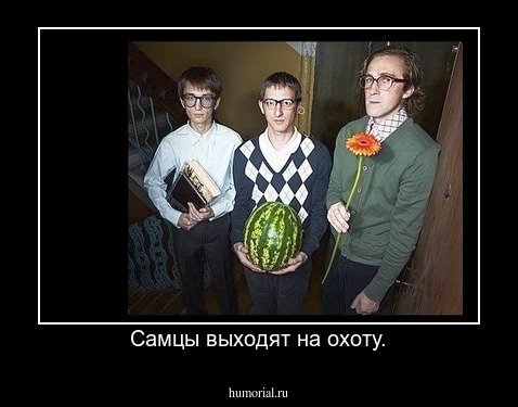 Самцы выходят на охоту.