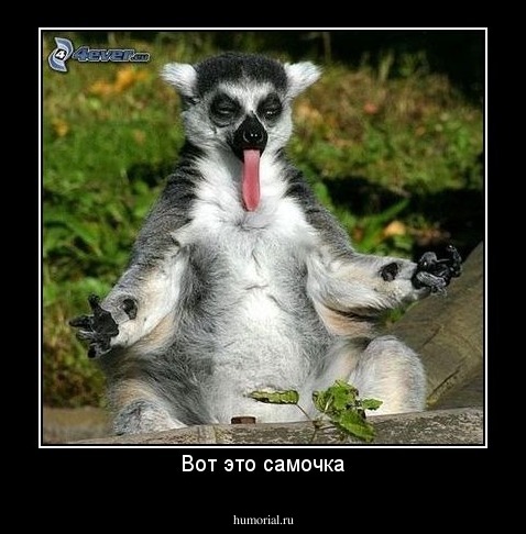 Вот это самочка