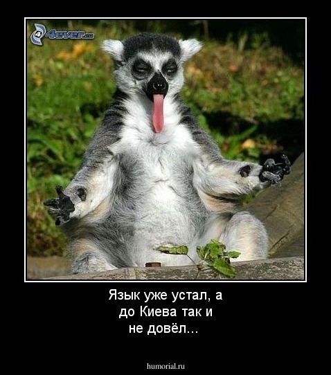 Язык уже устал, а до Киева так и не довёл...