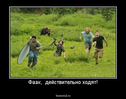 Фаак,  действительно ходят!