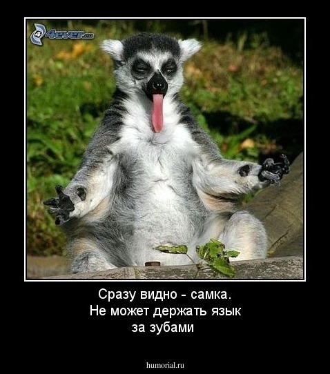 Сразу видно - самка.  Не может держать язык за зубами