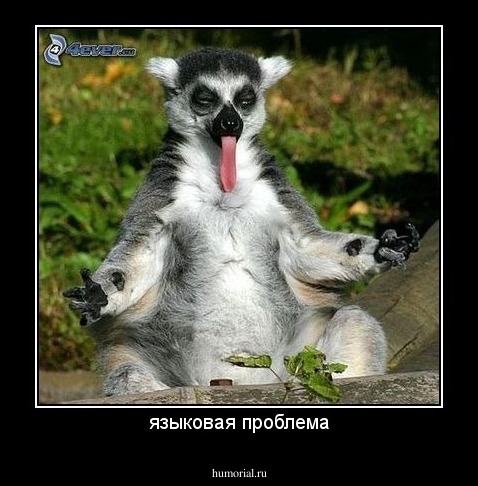 языковая проблема