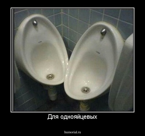 Для однояйцевых