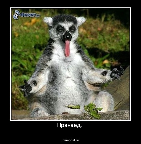 Пранаед. 