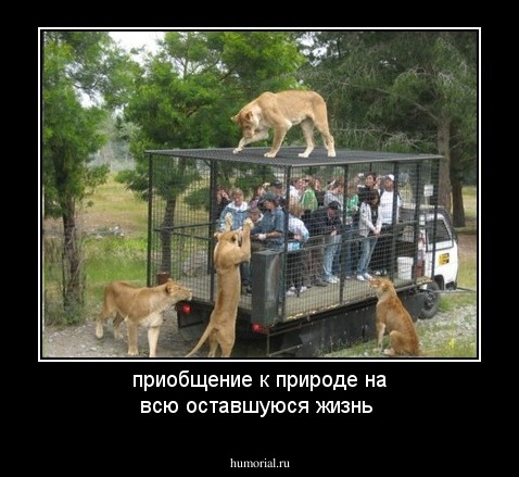 приобщение к природе на всю оставшуюся жизнь