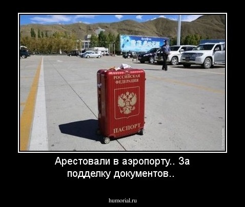 Арестовали в аэропорту.. За подделку документов..