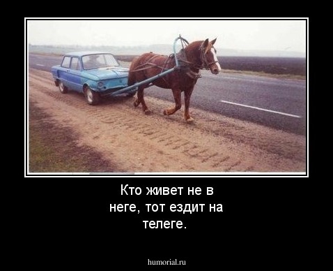 Кто живет не в неге, тот ездит на телеге. 