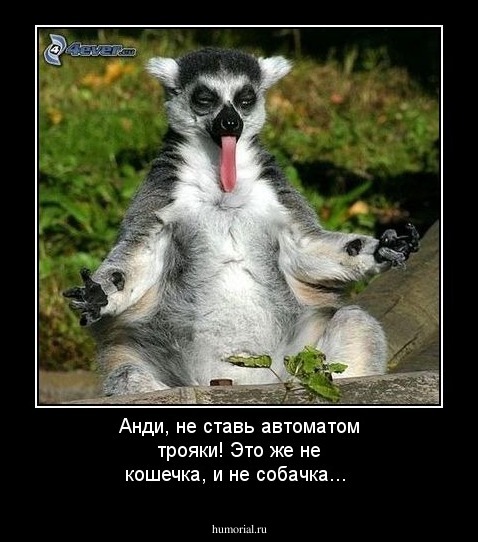 Анди, не ставь автоматом трояки! Это же не кошечка, и не собачка...