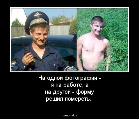 На одной фотографии - я на работе, а на другой - форму решил помереть. 