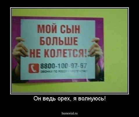 Он ведь орех, я волнуюсь!
