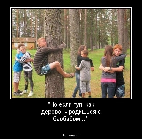 "Но если туп, как дерево, - родишься с баобабом..."
