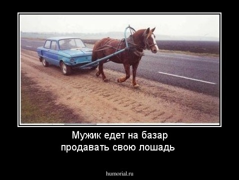 Мужик едет на базар продавать свою лошадь