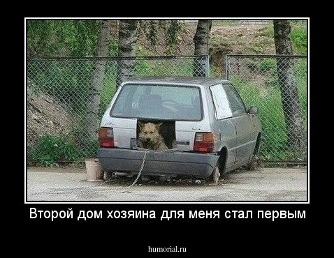 Второй дом хозяина для меня стал первым