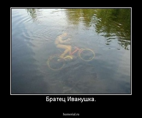 Братец Иванушка.