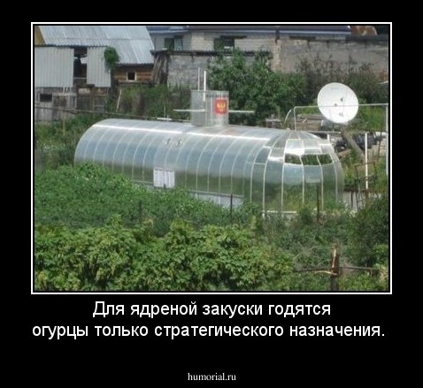 Для ядреной закуски годятся огурцы только стратегического назначения.
