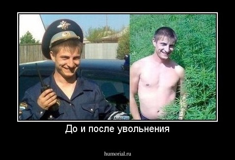 До и после увольнения