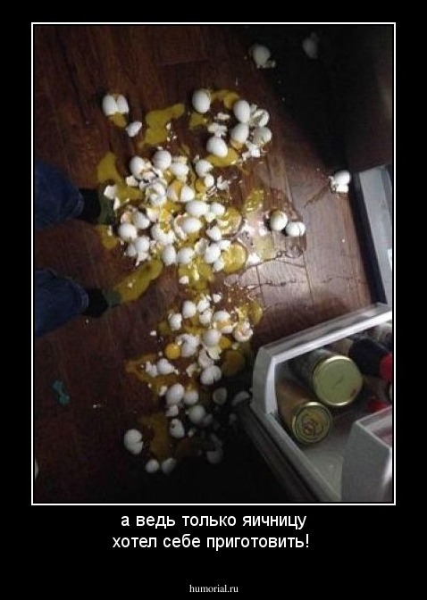 а ведь только яичницу хотел себе приготовить!