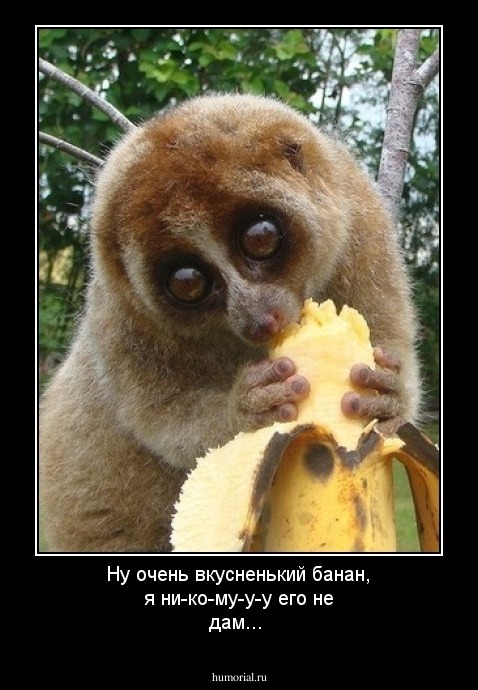 Ну очень вкусненький банан, я ни-ко-му-у-у его не дам...