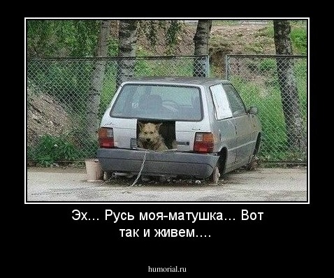 Эх... Русь моя-матушка... Вот так и живем....