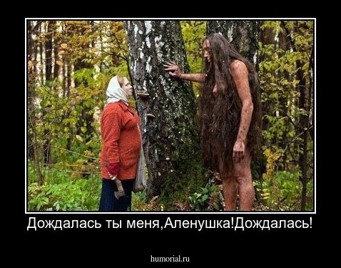 Дождалась ты меня,Аленушка!Дождалась!