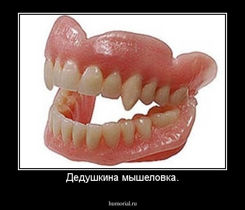 Дедушкина мышеловка.