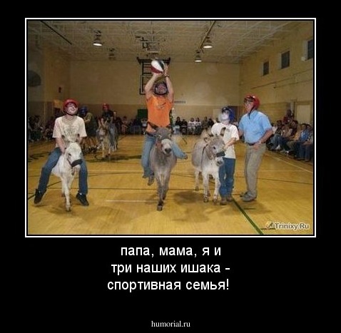 папа, мама, я и три наших ишака - спортивная семья!