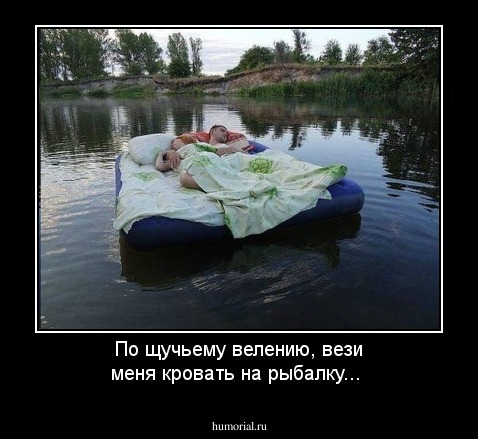 По щучьему велению, вези меня кровать на рыбалку...