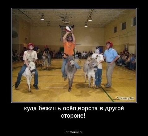 куда бежишь,осёл,ворота в другой стороне!