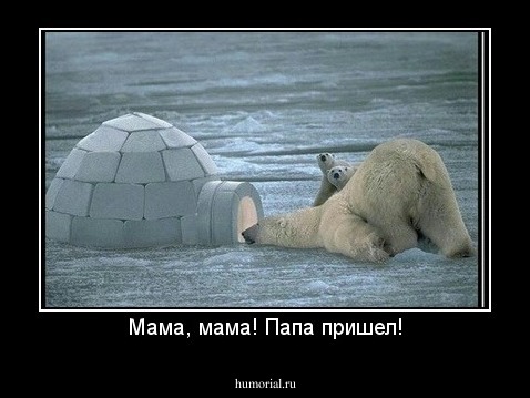 Мама, мама! Папа пришел!