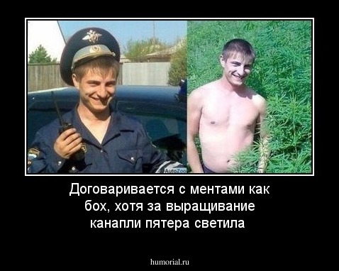 Договаривается с ментами как бох, хотя за выращивание канапли пятера светила