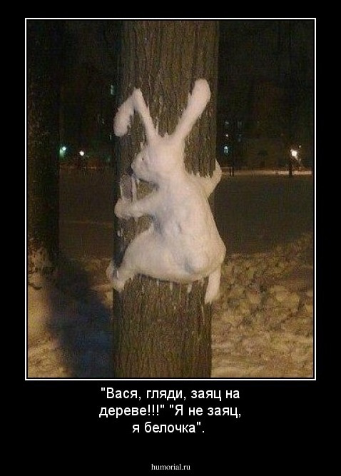 "Вася, гляди, заяц на дереве!!!" "Я не заяц, я белочка".