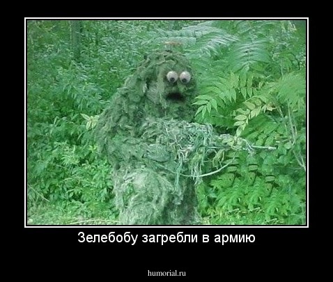 Зелебобу загребли в армию