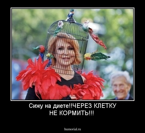 Сижу на диете!!ЧЕРЕЗ КЛЕТКУ НЕ КОРМИТЬ!!!