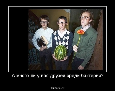 А много-ли у вас друзей среди бактерий?