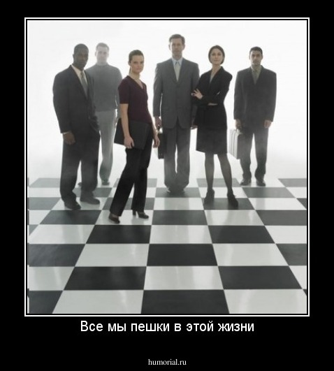 Все мы пешки в этой жизни