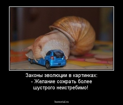Законы эволюции в картинках: - Желание сожрать более шустрого неистребимо!