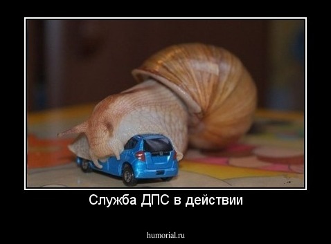 Служба ДПС в действии