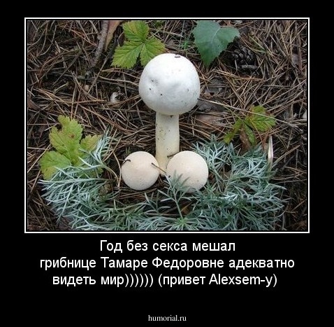 Год без секса мешал грибнице Тамаре Федоровне адекватно видеть мир))))))
(привет Alexsem-у)