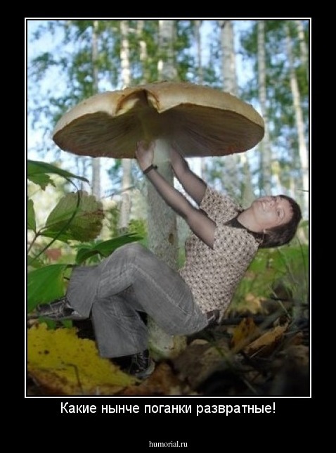 Какие нынче поганки развратные!