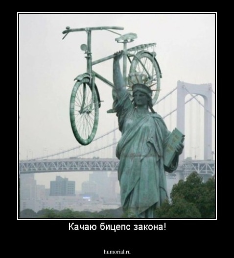Качаю бицепс закона!