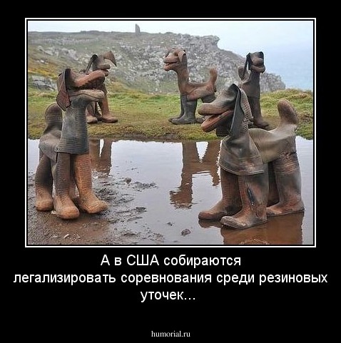 А в США собираются легализировать соревнования среди резиновых уточек...