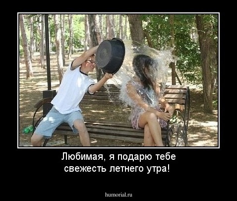 Любимая, я подарю тебе свежесть летнего утра!