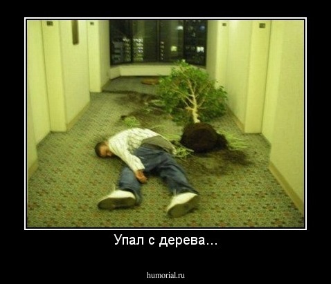 Упал с дерева...